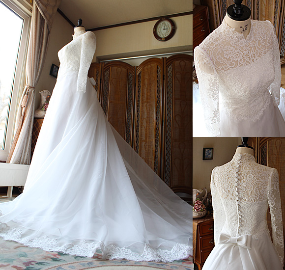 スカートシルエット レース オーガンジー トップスデザイン